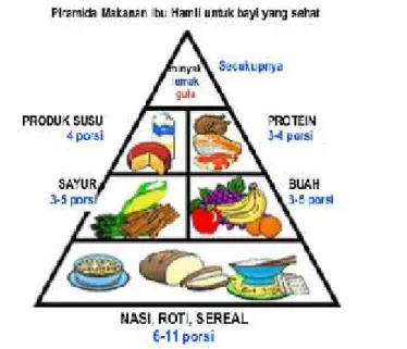 Gambar 2.1 Piramida Makanan Ibu Hamil