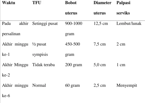 Tabel 2.6 Perubahan Normal Pada Uterus Selama Post partum