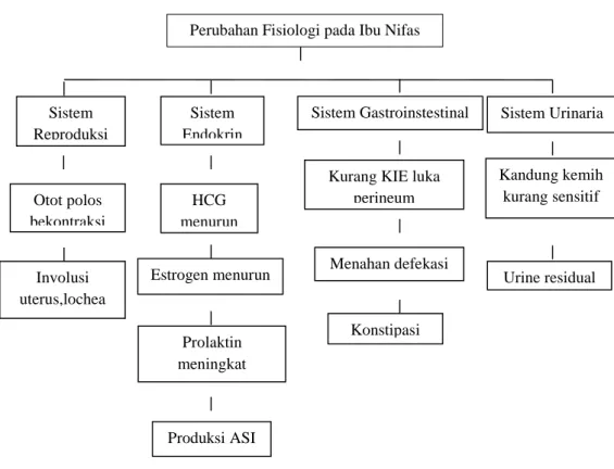 Konsep Dasar Teori Nifas A Pengertian Nifas