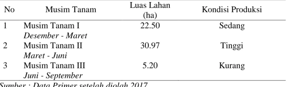 Tabel  7.  Luas  Produksi  Tanaman  Jagung  di  Desa  Kapita  Berdasarkan  Kalender  Musim Tanam Tahun 2017