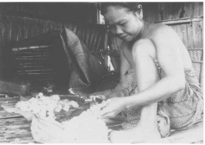 Fig. 5. Processing durian fruits in the field. 