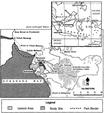 Fig. 3. Location of the study site in Benawai Agung, West Kalimantan, Indonesia. 