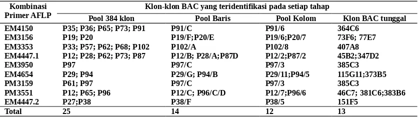 Tabel 2. Hasil skrining Klon-klon pustaka BAC dengan menggunakan metode DNA fingerprinting berbasis AFLP