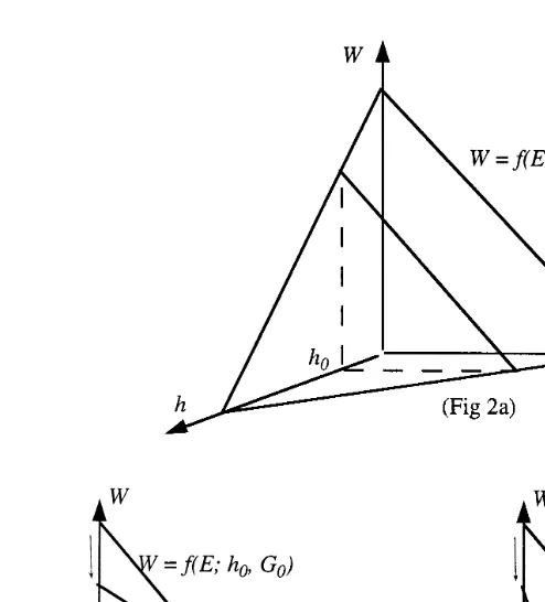 Fig. 2. a Linear labor demandŽddemand curveŽ . Ws f E; h, G0.for a fixed G ; b If0Ž . h is also fixed at h , the labor0 Ws f EŽ; h ,0 G0.obtains