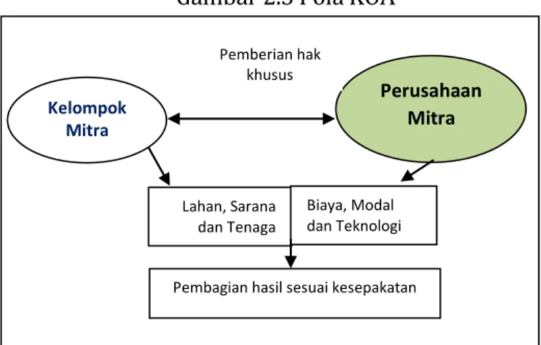 Gambar 2.5 Pola KOA 