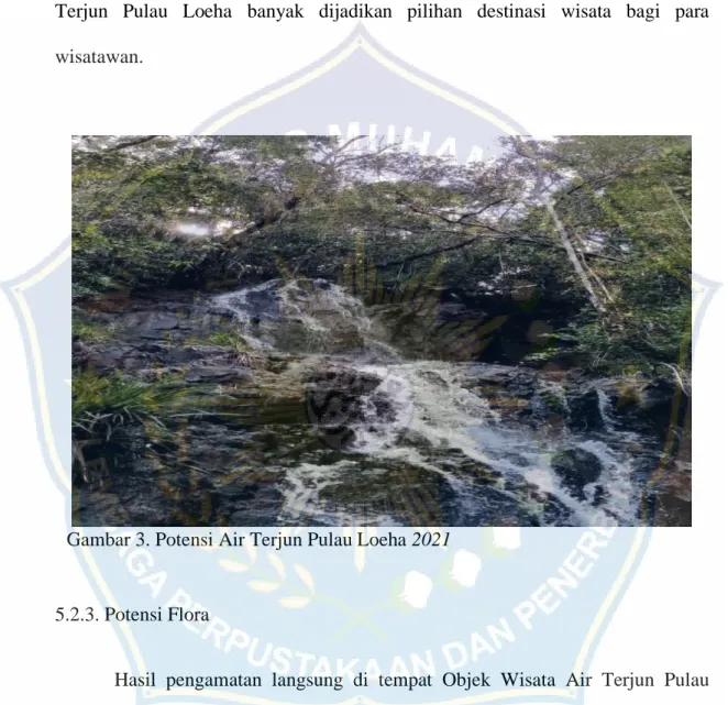 Gambar 3. Potensi Air Terjun Pulau Loeha 2021 