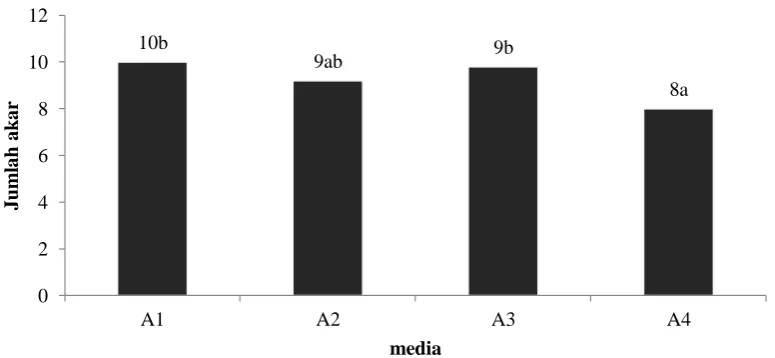 Gambar 9.  Histogram Jumlah Akar Primer 