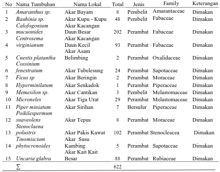 Tabel 2. Tabel Keanekaragaman dan Kelimpahan Liana di Hutan Sekunder Taman  Nasional Gunung Leuser Resort Sei Betung 