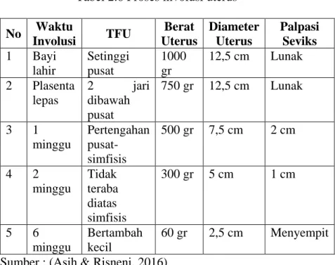 Tabel 2.6 Proses involusi uterus  No  Waktu 