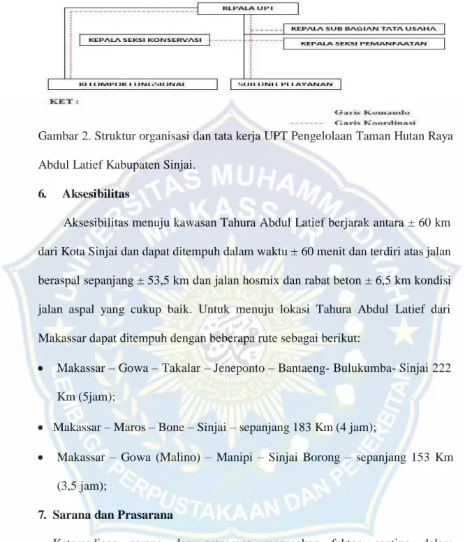 Gambar 2. Struktur organisasi dan tata kerja UPT Pengelolaan Taman Hutan Raya  Abdul Latief Kabupaten Sinjai
