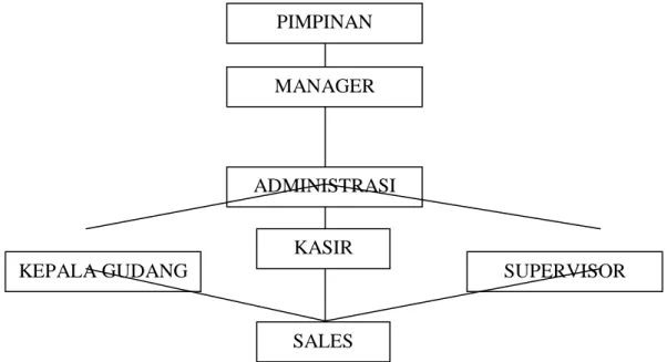 Gambar 3.1 Struktur Organisasi PT. Indrapura Perkasa Medan Tahun 2010  Sumber : PT. Indrapura Perkasa Medan  