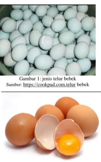 Gambar 1: jenis telur bebek  Sumber:  https://cookpad.com.telur bebek 