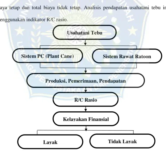 Gambar 1. Kerangka Pemikiran 
