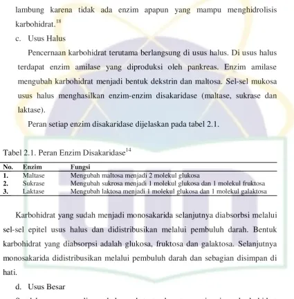Tabel 2.1. Peran Enzim Disakaridase14 