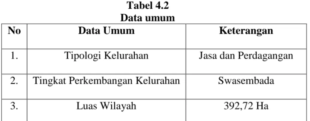 Tabel 4.2  Data umum 