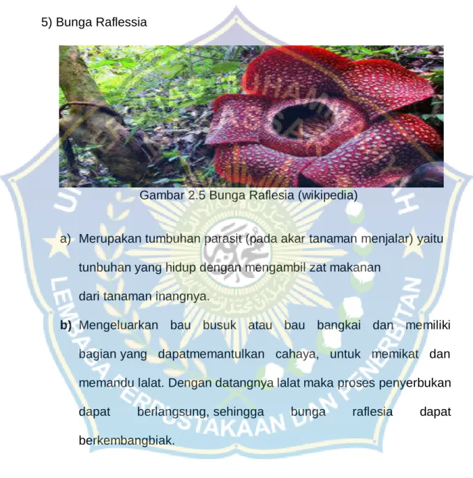 Gambar 2.5 Bunga Raflesia (wikipedia) 