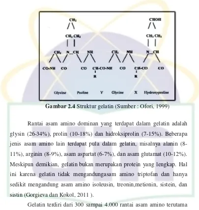 Gambar 2.4 Struktur gelatin (Sumber : Ofori, 1999) 