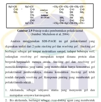 Gambar 2.9 Prinsip reaksi pembentukan poliakrilamid 