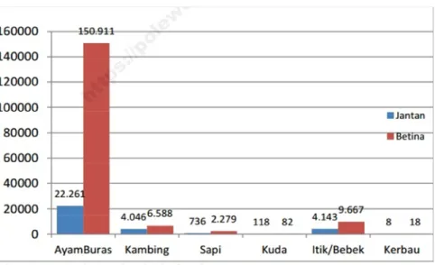 Gambar 4.7. Hewan Ternak Kecamatan Campalagian