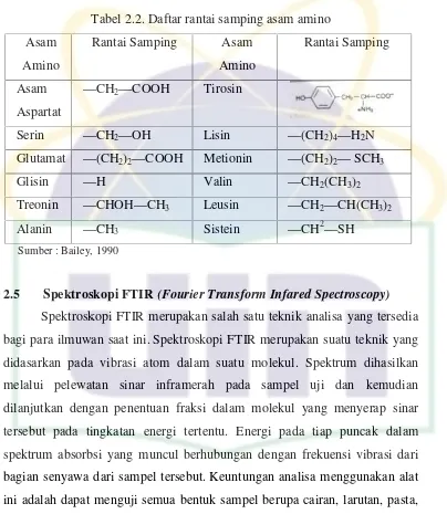 Tabel 2.2. Daftar rantai samping asam aminono
