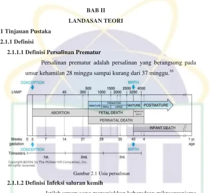 Gambar 2.1 Usia persalinan  