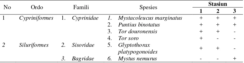 Tabel 3. Jenis-jenis Ikan yang diperoleh pada Setiap Stasiun 