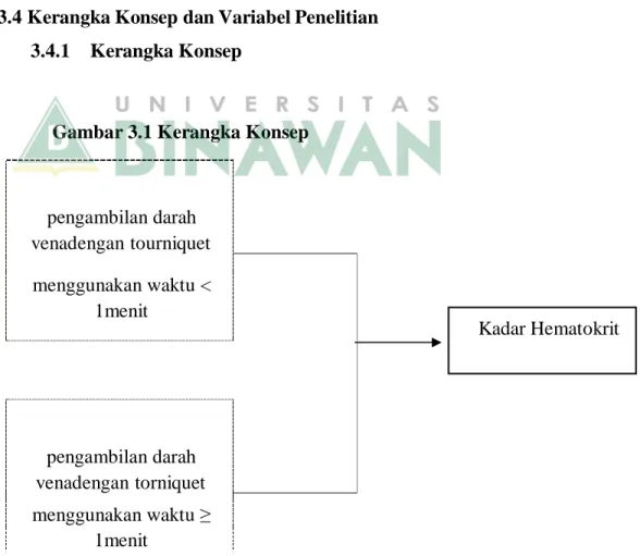 Gambar 3.1 Kerangka Konsep 