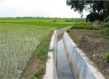 Gambar 2. Saluran Irigasi Sekunder