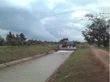 Gambar 1. Saluran Irigasi Primer