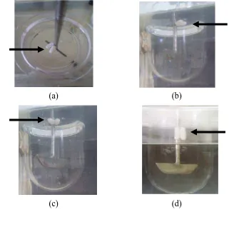 Gambar 4.6 Uji disolusi dari sediaan floating dispersi padat klaritromisin menggunakan cangkang kapsul alginat 80-120 cP 