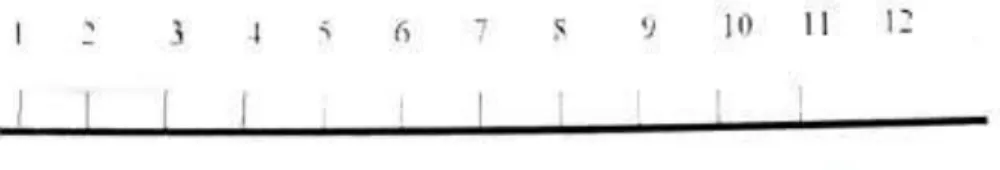 Gambar 1.4. Data Ratio, Jarak Sama dan Mempunyai Nilai Nol Mutlak (Nilai Nol Tidak Ada) 