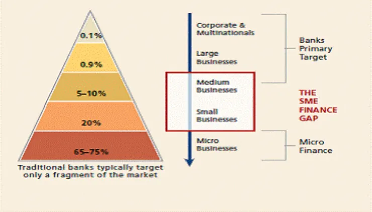 Figure 5: MSMEs Financing Gap  