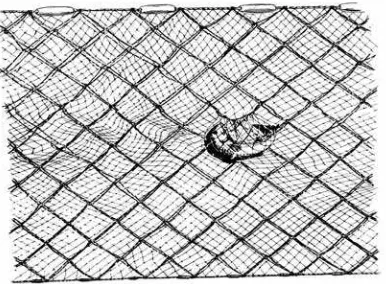 Gambar 7 - Jaring insang kombinasi (lapis atas gill net, lapis bawah trammel net)   