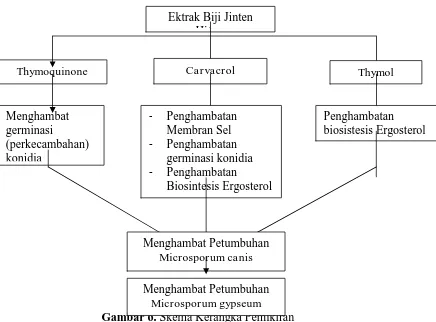 Gambar 6. Menghambat Petumbuhan Microsporum gypseum Skema Kerangka Pemikiran 