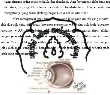 Gambar 2.30 Diagram Mata Manusia 