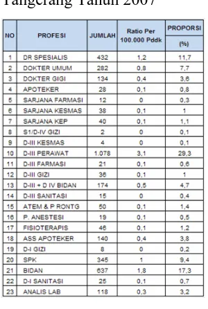 Tabel 7. Jenis tenaga berdasarkan ratio dan proporsi di Kabupaten 