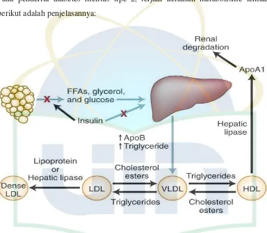 Gambar 4 Resistensi Insulin dan Dislipidemia 