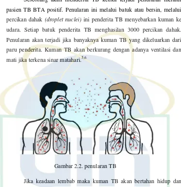 Gambar 2.2. penularan TB 