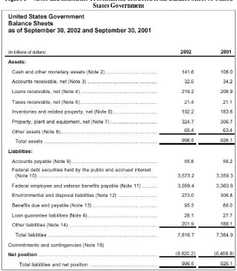 Figure 5 – Asset and Liabilities Presentation, extracted from Balance Sheet of United States Government 
