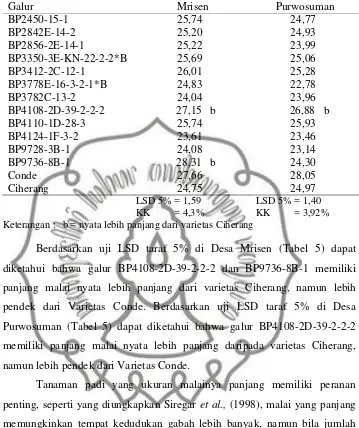 Tabel 5. Hasil uji LSD 5% terhadap panjang malai (cm) pada beberapa galurpadi inbrida di Mrisen dan Purwosuman.