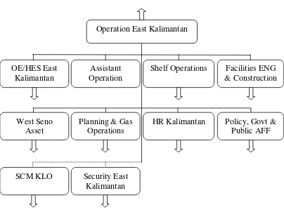 Gambar 3 : Bagan Struktur Organisasi Chevron Indonesia Company 