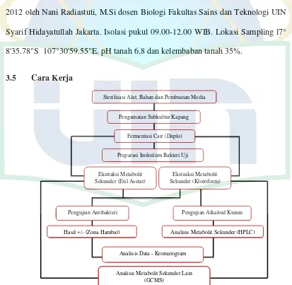 Gambar 5. Bagan kerja Penelitian 