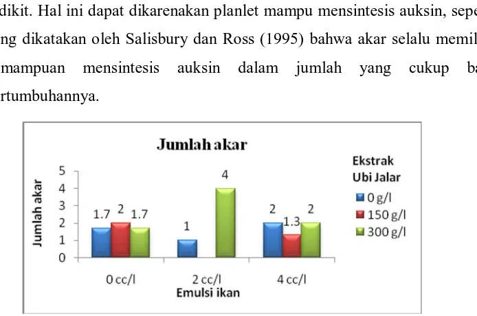 Gambar 18. Purata kombinasi emulsi ikan dan ekstrak ubi jalar terhadap jumlah akar anggrek Ph