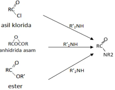 Gambar 2.3 Reaksi hidrolisis metil trans sinamat 