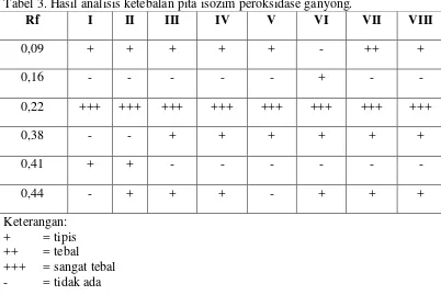 Tabel 3. Hasil analisis ketebalan pita isozim peroksidase ganyong. 