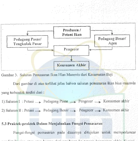 Gambar 3. Saluran Pemasaran limn Hias Maanvis dari Kecamatan Beji 