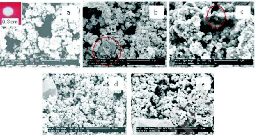 Fig. 3. Micrograph of TiO2/G (a) (insert: the disc of TiO2/G), Cu–TiO2/G obtained by electrodeposition of CuSO4 at 0.01 A(b) and at 0.03 A (c), and Ag–TiO Author copy 2/G obtained by electrodeposition of AgNO3 at 0.01 A (d), and at 0.03 A (e).