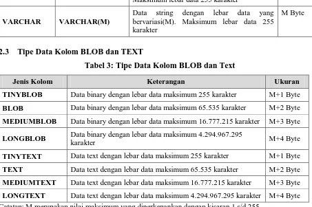 Tabel 3: Tipe Data Kolom BLOB dan Text 
