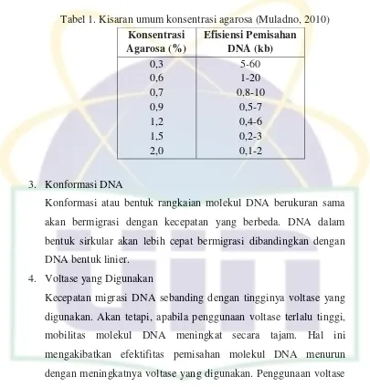 Tabel 1. Kisaran umum konsentrasi agarosa (Muladno, 2010) 