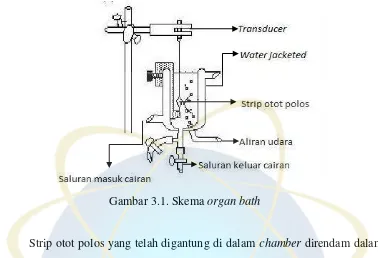 Gambar 3.1. Skema organ bath 